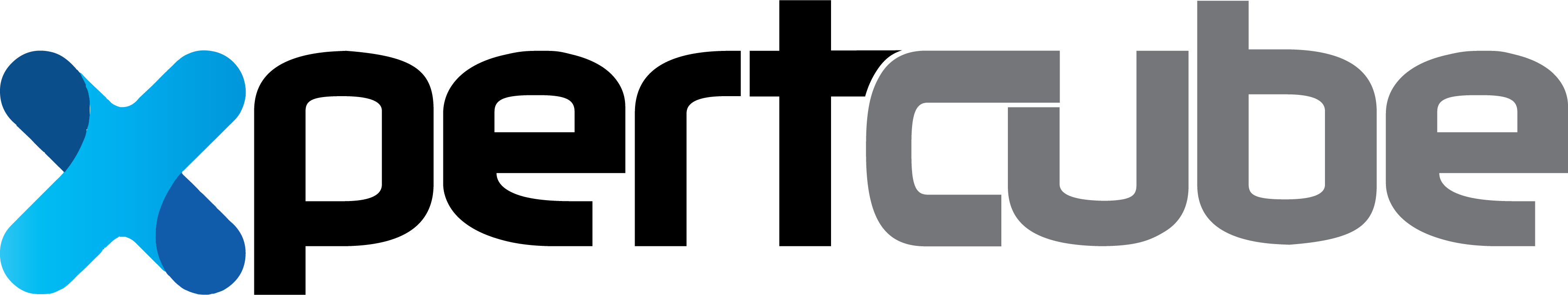 beta.xpertcube.com